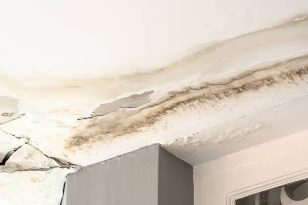 Ceiling with water stains and mold caused by roof leaks and poor insulation